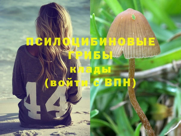 мяу мяу мука Верхний Тагил