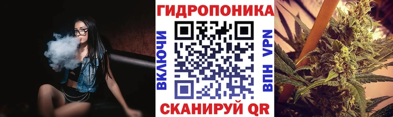 Бошки Шишки гибрид  Купить  Каргат 